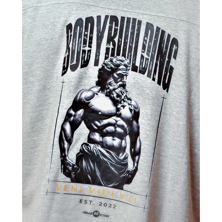 OVERSIZE VEDI VINI VICI GREY